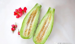 怀仁最近网红大瓜,揭秘背后惊人真相